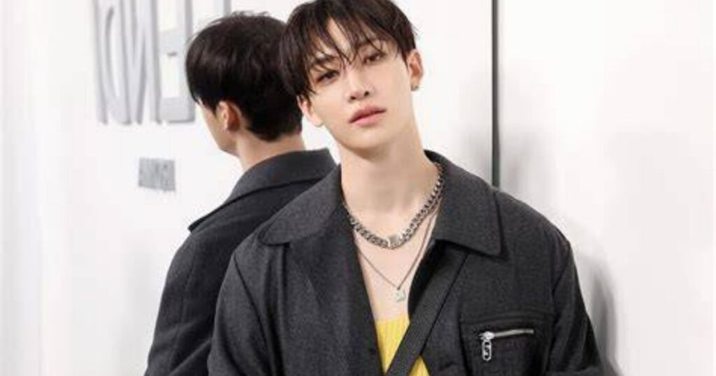 Stray Kids Net Worth Bang Chan Biography: Profile, Background, and Career 2025 