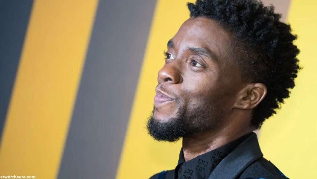 Movies That Built Chadwick Boseman's Fortune